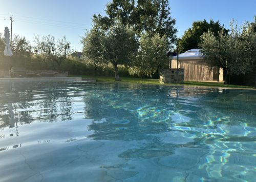 Infinity pool Villa Uliveto Infinity pool Villa Uliveto