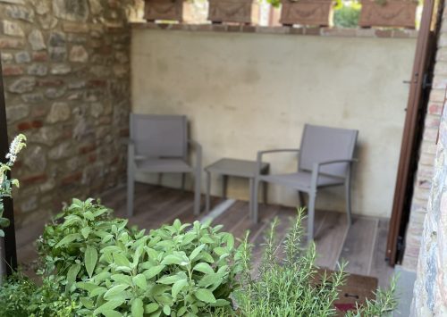 Krydderurter i den lille gårdhave Krydderurter i den lille gårdhave